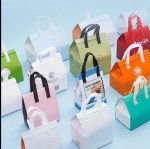 Custom Logo Disposable Aluminum Foil Non Woven Cooler Bag Small Takeaway Cold and Hot Drinks Food Delivery Thermal Insulated Bag